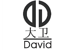 大卫DAVID