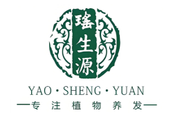 瑶生源植物养发